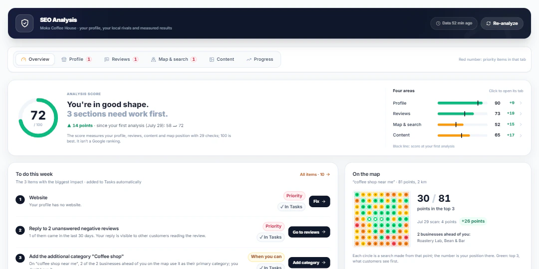 The Localghost dashboard: SEO Analysis screen