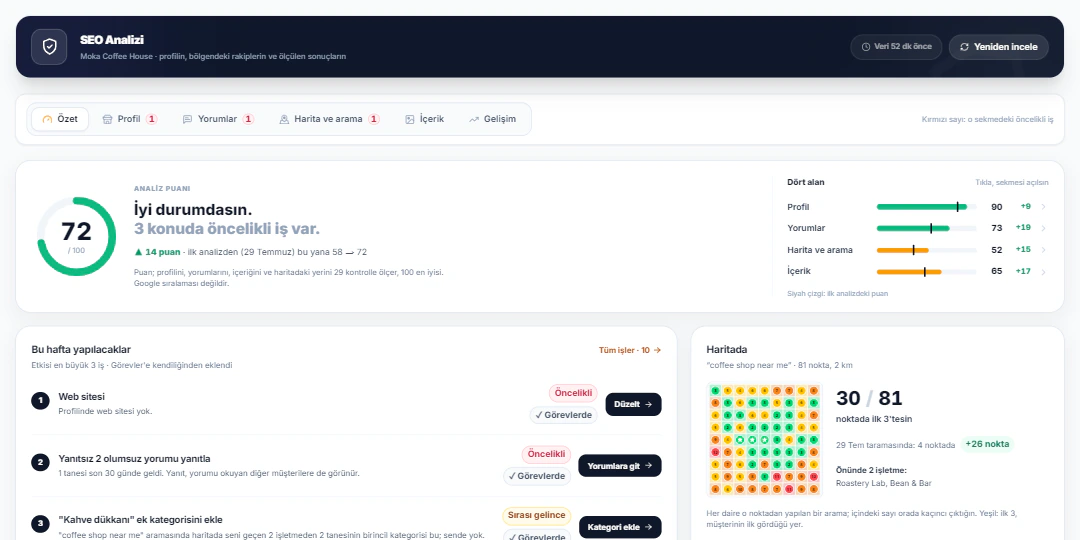 Localghost paneli: SEO Analizi ekranı
